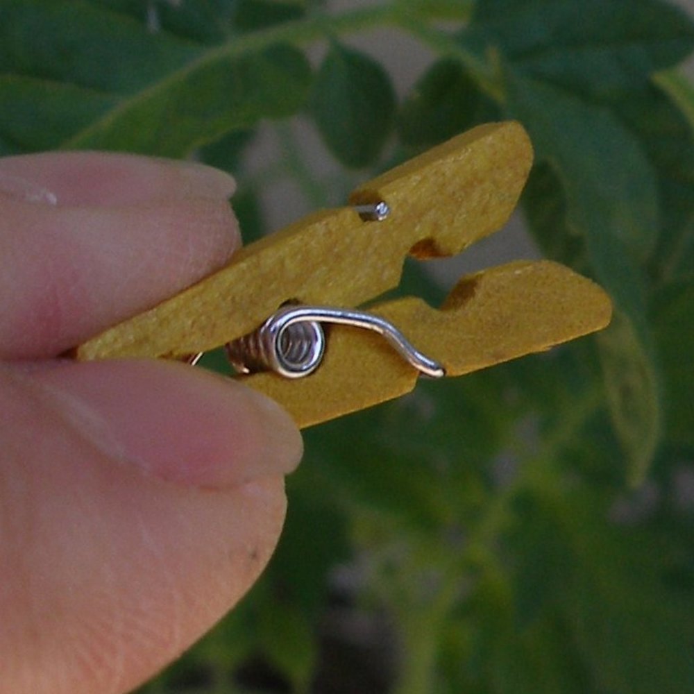 Clothespin Earrings Wood Handcrafted Real Miniature Working New Modified